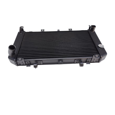 RADIATORE ACQUA RAFFREDDAMENTO LIQUIDO PER KAWASAKI Z-1000 Z1000 (2003-2006)