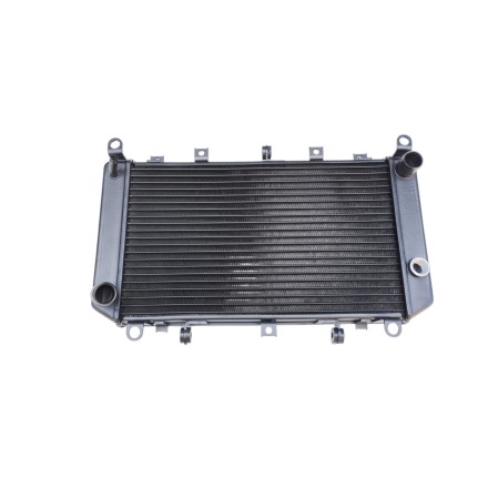 RADIATORE ACQUA RAFFREDDAMENTO LIQUIDO PER KAWASAKI Z-1000 Z1000 (2003-2006)