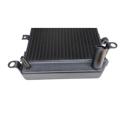 RADIATORE ACQUA RAFFREDDAMENTO LIQUIDO PER KAWASAKI Z-1000 Z1000 (2003-2006)