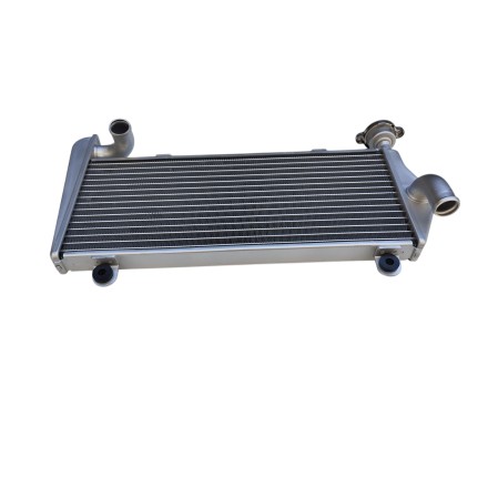 RADIATORE ACQUA RAFFREDDAMENTO LIQUIDO MOTORE SUPERIORE PER DUCATI 899/959/1199/1299 Panigale (2013-2019)
