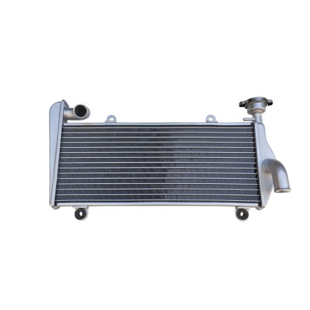 RADIATORE ACQUA RAFFREDDAMENTO LIQUIDO MOTORE SUPERIORE PER DUCATI 899/959/1199/1299 Panigale (2013-2019)