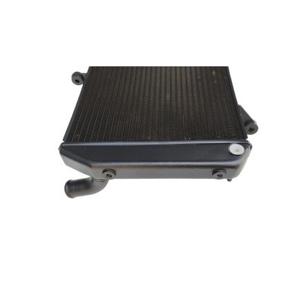 RADIATORE ACQUA RAFFREDDAMENTO LIQUIDO PER YAMAHA FZ1-N Fazer 1000 / FZ8 (2006-2015)