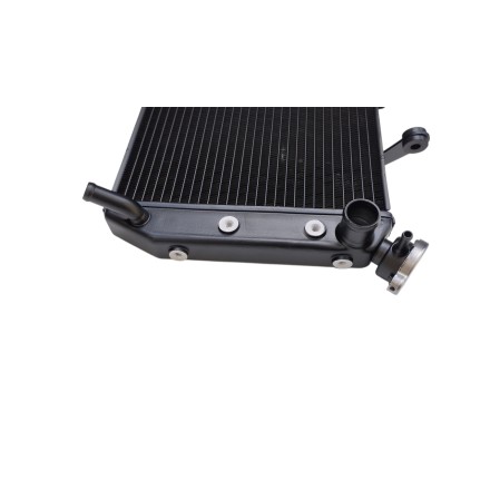 RADIATORE ACQUA RAFFREDDAMENTO LIQUIDO PER YAMAHA FZ1-N Fazer 1000 / FZ8 (2006-2015)