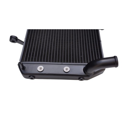 RADIATORE ACQUA RAFFREDDAMENTO LIQUIDO PER YAMAHA FZ1-N Fazer 1000 / FZ8 (2006-2015)
