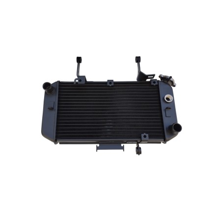RADIATORE ACQUA RAFFREDDAMENTO LIQUIDO PER SUZUKI DL 650 V-Strom (2004-2011)