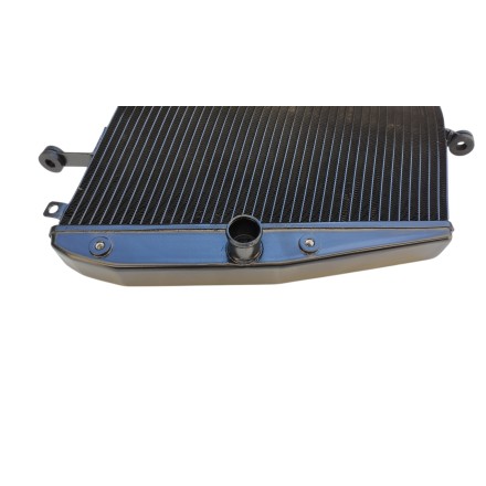 RADIATORE ACQUA RAFFREDDAMENTO LIQUIDO MOTORE PER HONDA CBR 1000 RR (2008-2011)
