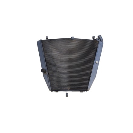 RADIATORE ACQUA RAFFREDDAMENTO LIQUIDO PER HONDA CBR 1000 RR (2006-2007)