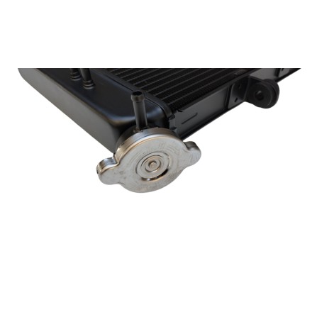 RADIATORE ACQUA RAFFREDDAMENTO LIQUIDO MOTORE PER YAMAHA XJ6 XJ-6 (2008-2015) / FZ6R 2009-2017