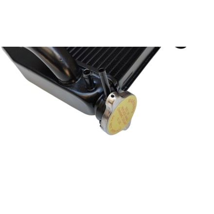 RADIATORE ACQUA RAFFREDDAMENTO LIQUIDO PER HONDA CBR 900RR 954 RR (2002-2004)