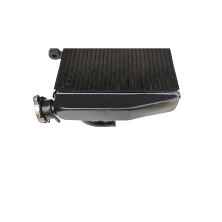 RADIATORE ACQUA RAFFREDDAMENTO LIQUIDO PER HONDA CBR 900RR 954 RR (2002-2004)