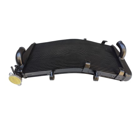 RADIATORE ACQUA RAFFREDDAMENTO LIQUIDO PER HONDA CBR 900RR 954 RR (2002-2004)