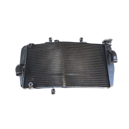 RADIATORE ACQUA RAFFREDDAMENTO LIQUIDO PER HONDA CBR 900RR 954 RR (2002-2004)