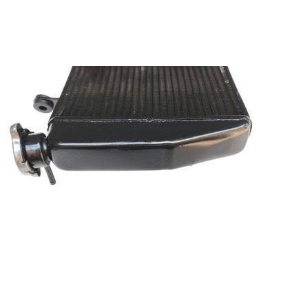 RADIATORE ACQUA RAFFREDDAMENTO LIQUIDO PER DUCATI SBK 848 1098 1198 (2007-2012)