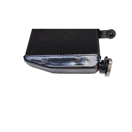 RADIATORE ACQUA RAFFREDDAMENTO LIQUIDO PER DUCATI SBK 848 1098 1198 (2007-2012)