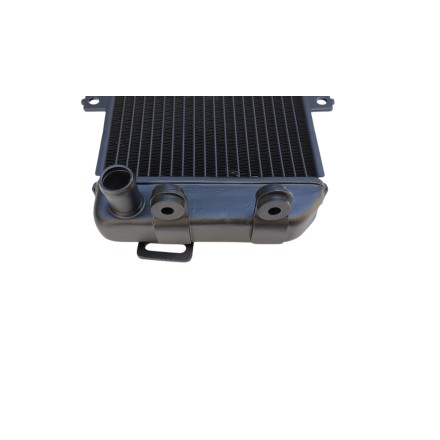 RADIATORE ACQUA RAFFREDDAMENTO LIQUIDO PER KAWASAKI ER6N ER-6N ER6F (2006-2009)