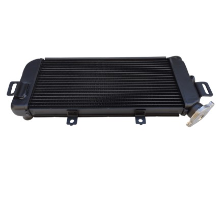 RADIATORE ACQUA RAFFREDDAMENTO LIQUIDO PER KAWASAKI ER6N ER-6N ER6F (2006-2009)
