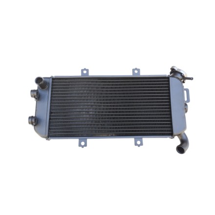 RADIATORE ACQUA RAFFREDDAMENTO LIQUIDO PER KAWASAKI ER6N ER-6N ER6F (2006-2009)