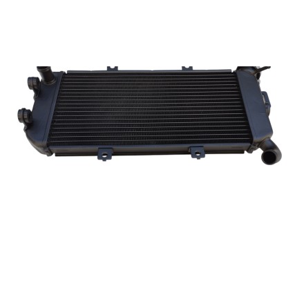 RADIATORE ACQUA RAFFREDDAMENTO LIQUIDO PER KAWASAKI ER6N ER-6N ER6F (2006-2009)
