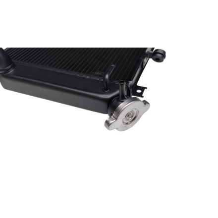 RADIATORE ACQUA RAFFREDDAMENTO LIQUIDO MOTORE PER KAWASAKI Z-900 Z900 2017-2024
