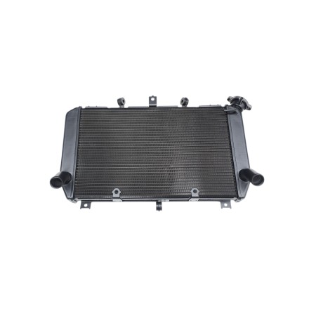 RADIATORE ACQUA RAFFREDDAMENTO LIQUIDO MOTORE PER KAWASAKI Z-900 Z900 2017-2024