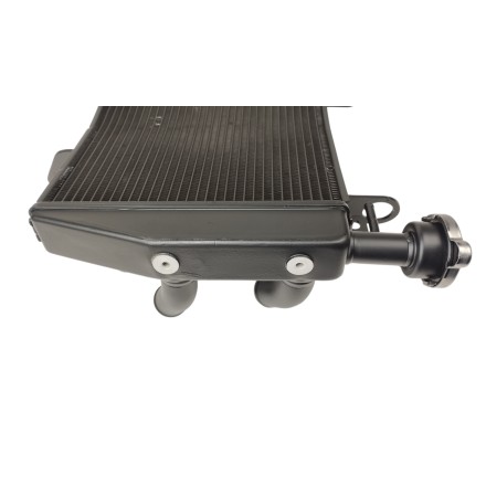 RADIATORE ACQUA RAFFREDDAMENTO LIQUIDO MOTORE PER DUCATI Monster 821 / 1200 / supersport 939 2014-2020