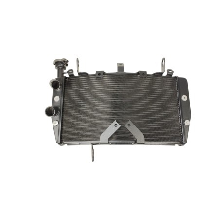 RADIATORE ACQUA RAFFREDDAMENTO LIQUIDO MOTORE PER DUCATI Monster 821 / 1200 / supersport 939 2014-2020
