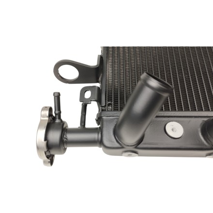 RADIATORE ACQUA RAFFREDDAMENTO LIQUIDO MOTORE PER DUCATI Monster 821 / 1200 / supersport 939 2014-2020