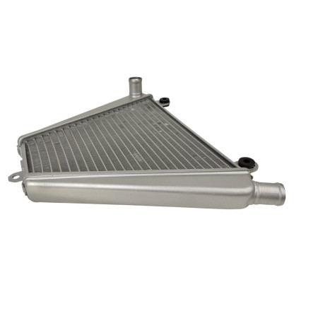 RADIATORE ACQUA RAFFREDDAMENTO LIQUIDO INFERIORE PER DUCATI PANIGALE V2 / 1199 / 1299 / 959 / 899 2014-2022
