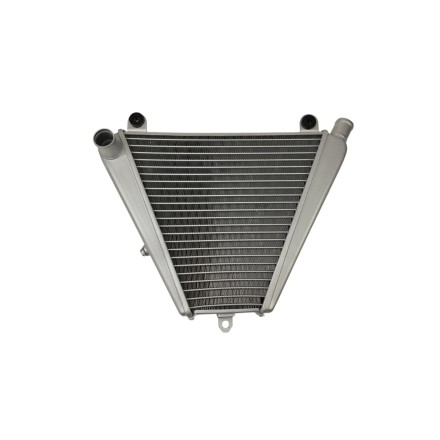 RADIATORE ACQUA RAFFREDDAMENTO LIQUIDO INFERIORE PER DUCATI PANIGALE V2 / 1199 / 1299 / 959 / 899 2014-2022