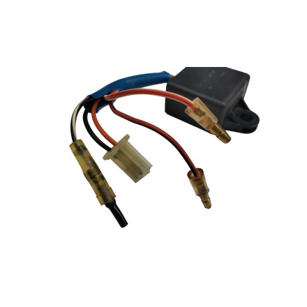 34145000 CENTRALINA ELETTRONICA ORIGINALE APRILIA RALLY 50 AC (1995-2003)