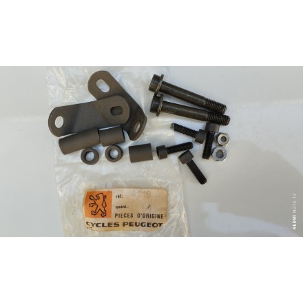 PARABREZZA CUPOLINO TERGICRISTALLO ORIGINALE PEUGEOT METROPOLIS 50 SPECIALE RARO VINTAGE