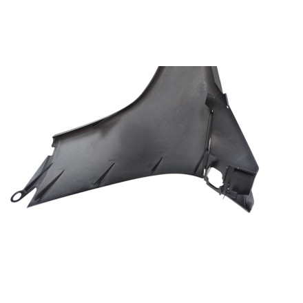 1172921700 CARENA FRONTALE ANTERIORE ORIGINALE PEUGEOT ZENITH 50