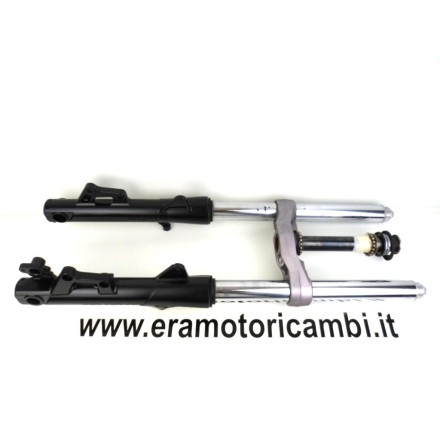 STELI FORCELLA ANTERIORE CON PIASTRA INFERIORE MOTO GUZZI NORGE 1200 - 2007