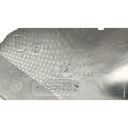 1173427900 COPPIA FIANCHETTI IN CARBONIO ORIGINALI PEUGEOT SPEEDFIGHT