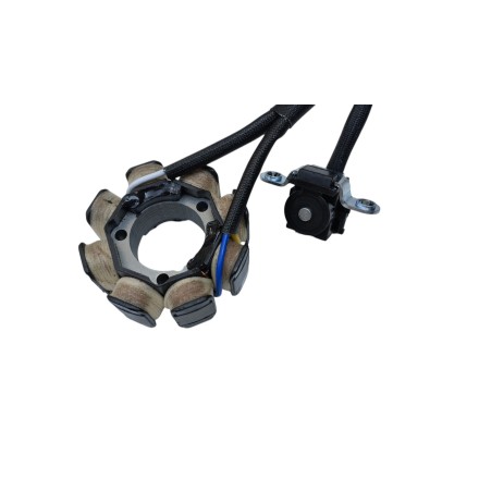 STATORE MOTORE ALTERNATORE GENERATORE PER HONDA CRF 250 X (2004-2017)