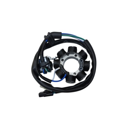 STATORE MOTORE ALTERNATORE GENERATORE PER HONDA CRF 250 R (2004-2009) CRF 450 2005-2008