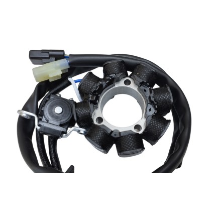 STATORE MOTORE ALTERNATORE GENERATORE PER HONDA CRF 250 R (2004-2009) CRF 450 2005-2008