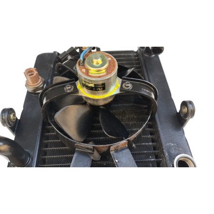 TOYO RADIATORE RAFFREDDAMENTO VENTOLA ORIGINALE YAMAHA YP 250 Majesty 2002