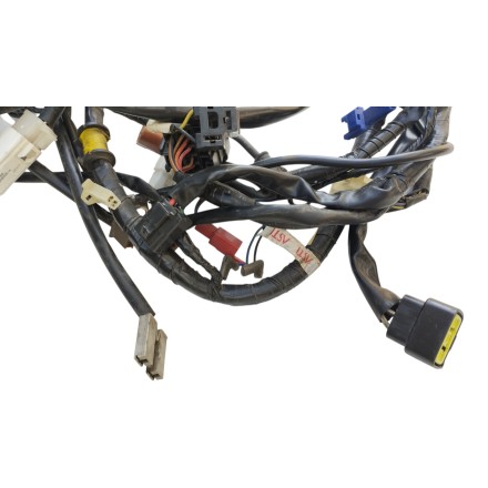 IMPIANTO CAVI CABLAGGIO ELETTRICO ORIGINALE YAMAHA YP 250 Majesty 2002