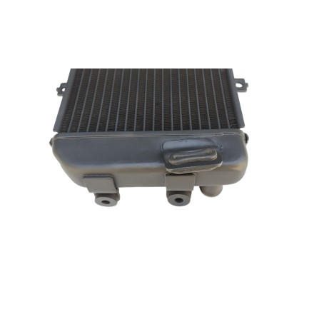 RADIATORE ACQUA RAFFREDDAMENTO LIQUIDO PER KAWASAKI ER6F ER-6N ER6N (2006-2009)