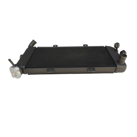 RADIATORE ACQUA RAFFREDDAMENTO LIQUIDO PER KAWASAKI ER6F ER-6N ER6N (2006-2009)