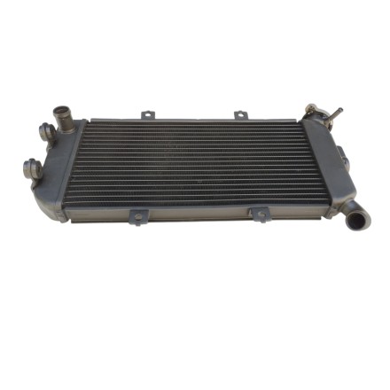 RADIATORE ACQUA RAFFREDDAMENTO LIQUIDO PER KAWASAKI ER6F ER-6N ER6N (2006-2009)