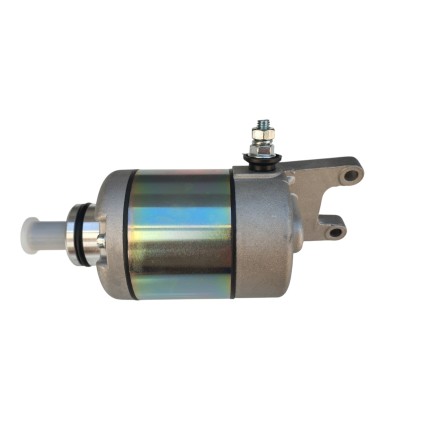 MOTORINO AVVIAMENTO PER APRILIA PER DERBI PER PEUGEOT PER PIAGGIO MOT.250 BEVERLY/X9