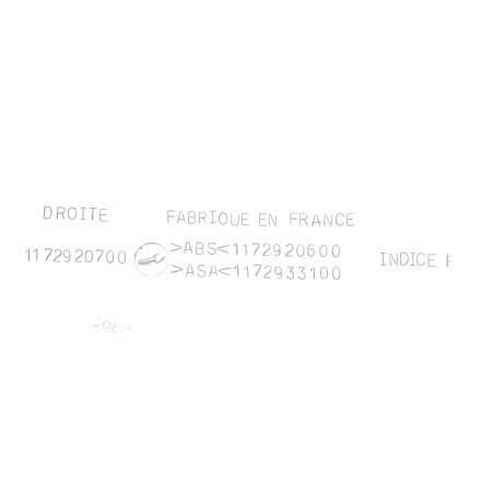 1172920800 1172920600 KIT FIANCHETTI POSTERIORI ORIGINALI PEUGEOT ZENITH 50