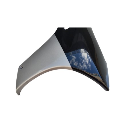 1173104900 1173344200 COPPIA CARENE PANNELLI ORIGINALE PEUGEOT SPEEDAKE 50