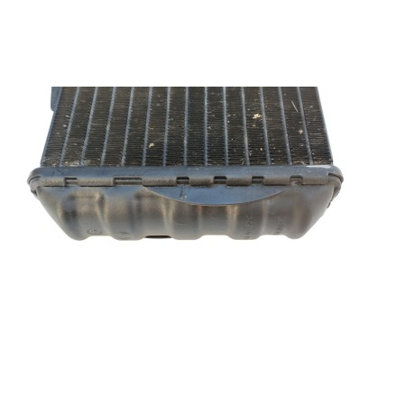 RADIATORE RAFFREDDAMENTO ACQUA ORIGINALE BMW F650 GS (2000-2003)