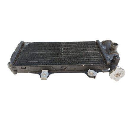 RADIATORE RAFFREDDAMENTO ACQUA ORIGINALE BMW F650 GS (2000-2003)