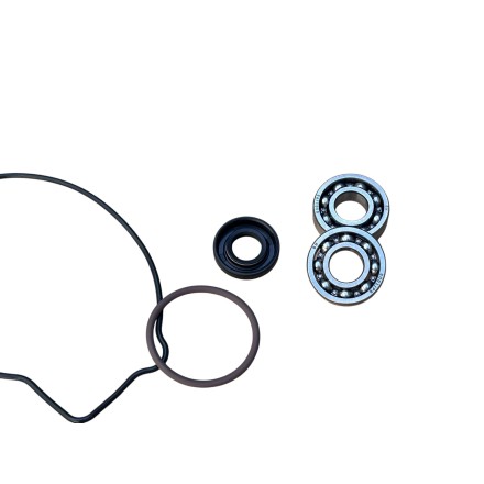 KIT REVISIONE POMPA ACQUA ORIGINALE BENELLI TRK 502 X LEONCINO 500 CRUISER 502