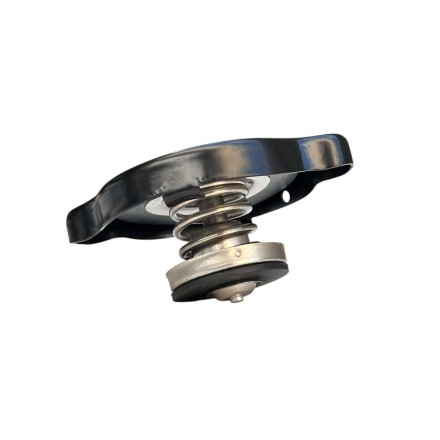 T2108005 TAPPO RADIATORE ORIGINALE TRIUMPH TT600 Sprint Speed Triple Four Tiger Trophy