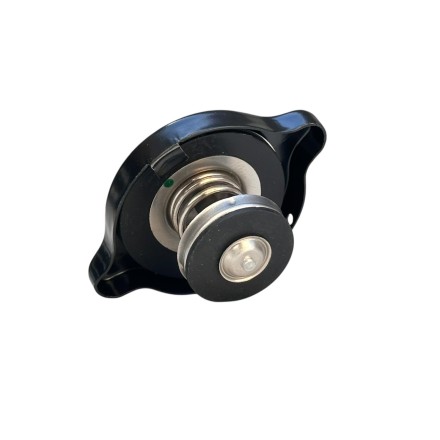 T2108005 TAPPO RADIATORE ORIGINALE TRIUMPH TT600 Sprint Speed Triple Four Tiger Trophy